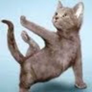 Meet your Posher, Nicola